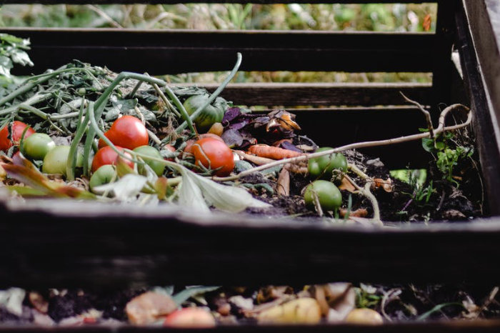 valorisation-dechet-biozeneat-transition-alimentaire-institution